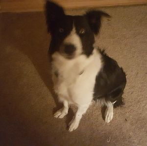 Meet your Posher, Pam